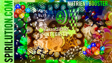 Cargar imagen en el visor de la galería, ★Nutrient Absorption Booster★ - SPIRILUTION.COM