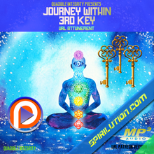 Cargar imagen en el visor de la galería, ★Journey Within - 3rd Key ★ (Unlock the hidden doors within) **EXCLUSIVE** - SPIRILUTION.COM