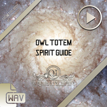 Cargar imagen en el visor de la galería, ★Owl Totem ★ Owl Spirit Guide Connection Formula - SPIRILUTION.COM
