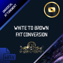 Load image into Gallery viewer, ★White to Brown Fat Conversion★ Increase Thermogenesis + Boost Health - SPIRILUTION.COM