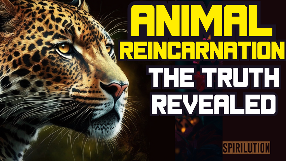 Unveiling the Mysteries of Animal Reincarnation: A Journey of Love and Connection!