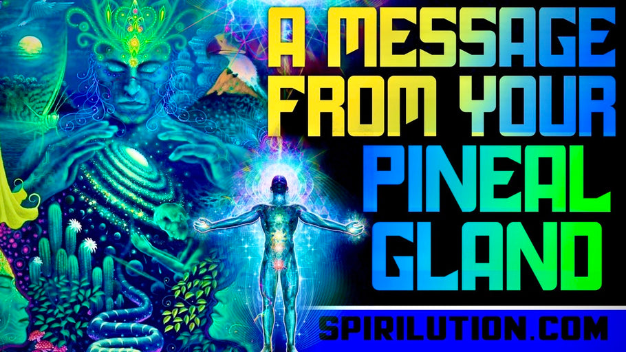11 EVERYDAY THINGS HARMING AND CALCIFYING YOUR PINEAL GLAND! (THIRD EYE) WAKE UP!   SPIRILUTION