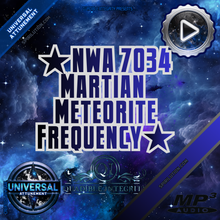 Laden Sie das Bild in den Galerie-Viewer, ★NWA 7034 Martian Meteorite Frequency ★ (DOWNLOAD 2 BILLION YEARS OF INFORMATION)