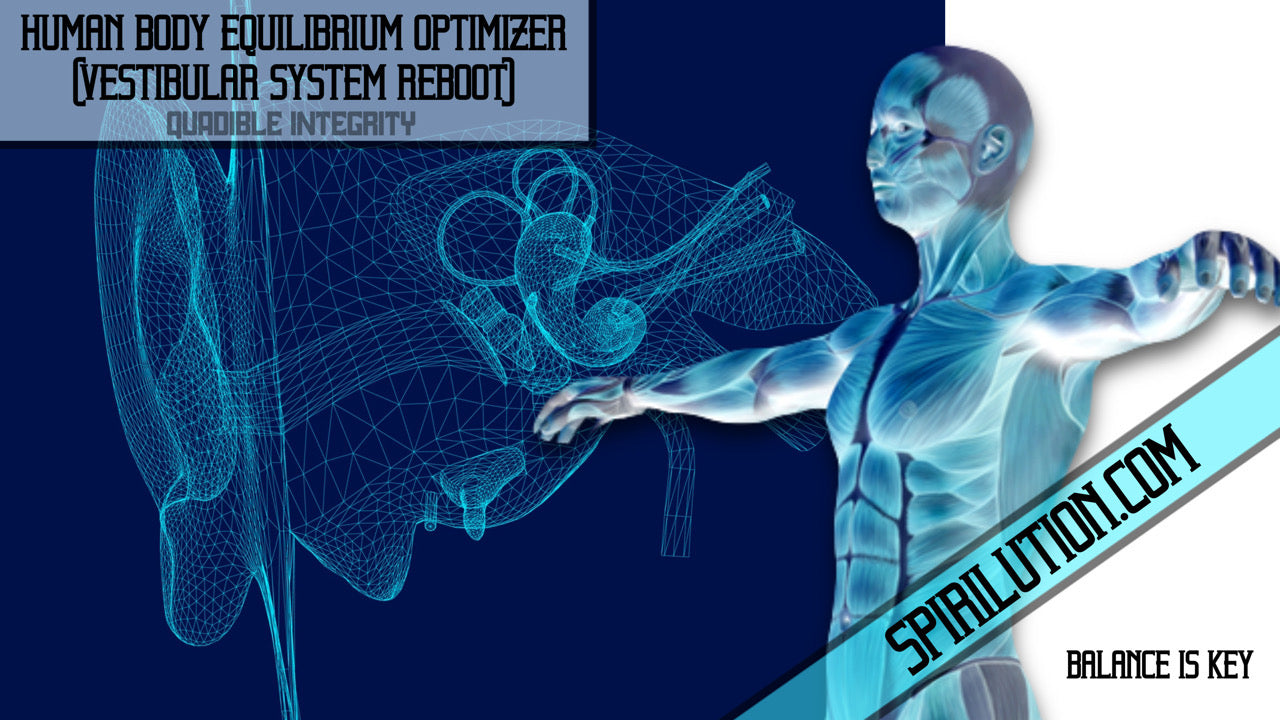 ★Human Body Equilibrium Optimizer★ (Vestibular System Reboot ...