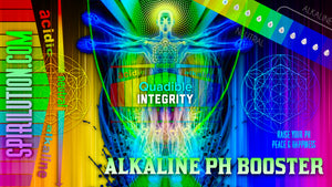 QUADIBLE INTEGRITY - ★ALKALINE PH BOOSTER / BALANCER FREQUENCY FORMULA - RESTORE PH LEVELS FAST! ATTUNED AUDIO★ - SPIRILUTION.COM