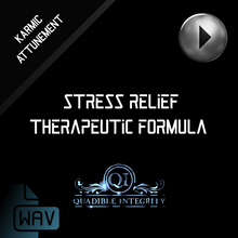 Cargar imagen en el visor de la galería, ★Stress Relief~Therapeutic Formula★ - SPIRILUTION.COM